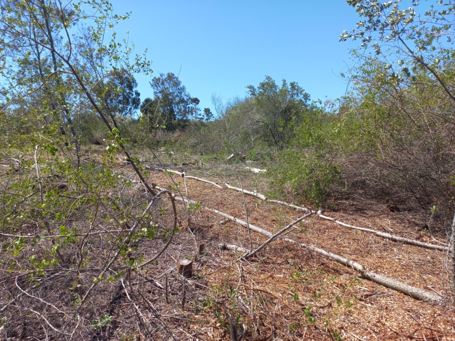 Commercial Property for Sale in Langvlei Dunes Western Cape